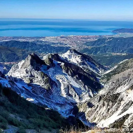 Lavigna كارارا